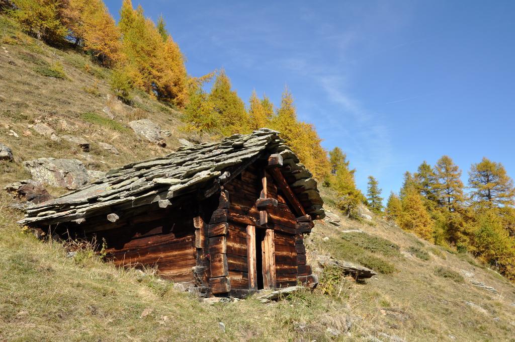 Hermitage 2* Evolène
